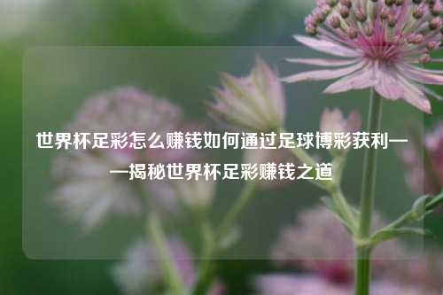世界杯足彩怎么赚钱如何通过足球博彩获利——揭秘世界杯足彩赚钱之道