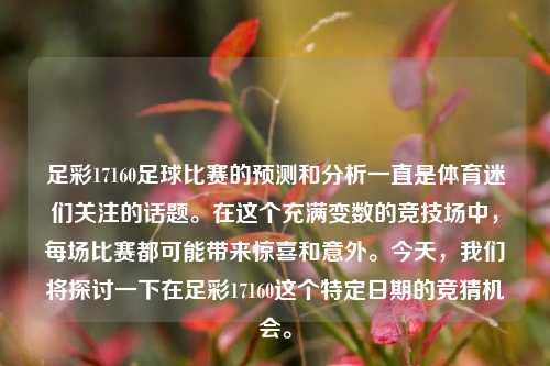 足彩17160足球比赛的预测和分析一直是体育迷们关注的话题。在这个充满变数的竞技场中，每场比赛都可能带来惊喜和意外。今天，我们将探讨一下在足彩17160这个特定日期的竞猜机会。
