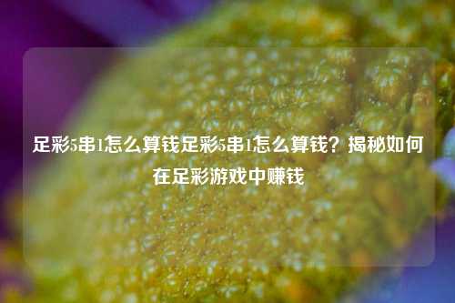 足彩5串1怎么算钱足彩5串1怎么算钱？揭秘如何在足彩游戏中赚钱