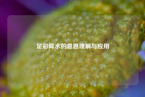 足彩降水的意思理解与应用