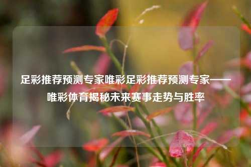 足彩推荐预测专家唯彩足彩推荐预测专家——唯彩体育揭秘未来赛事走势与胜率