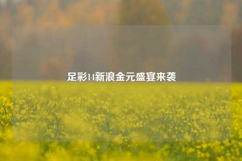 足彩14新浪金元盛宴来袭
