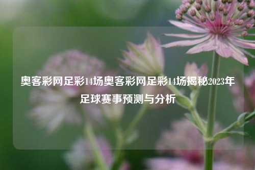 奥客彩网足彩14场奥客彩网足彩14场揭秘2023年足球赛事预测与分析