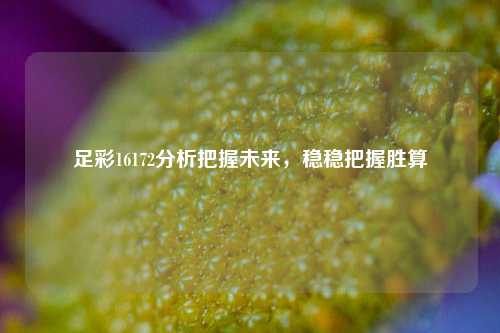 足彩16172分析把握未来，稳稳把握胜算