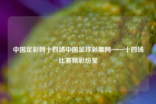 中国足彩网十四场中国足球彩票网——十四场比赛精彩纷呈