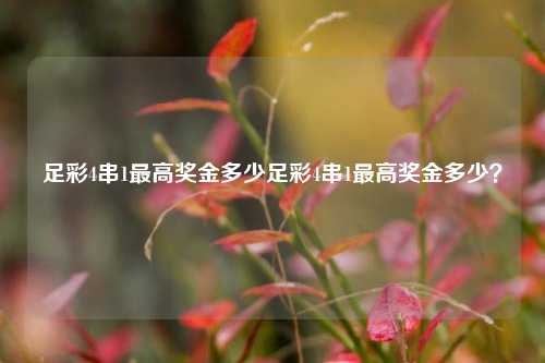 足彩4串1最高奖金多少足彩4串1最高奖金多少？