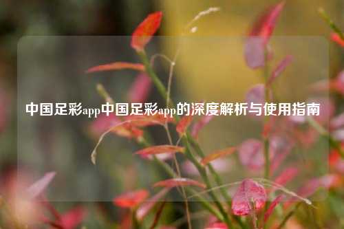中国足彩app中国足彩app的深度解析与使用指南